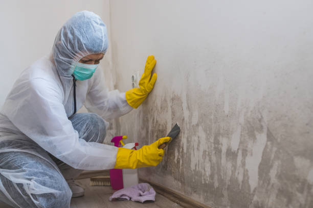 Best Crawl Space Mold Removal  in Sandy, OR