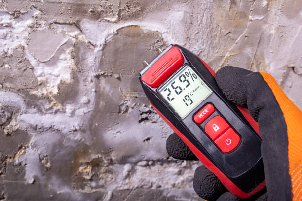Best Affordable Mold Removal  in Sandy, OR
