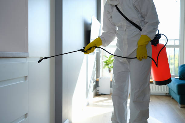 Best Toxic Mold Removal  in Sandy, OR