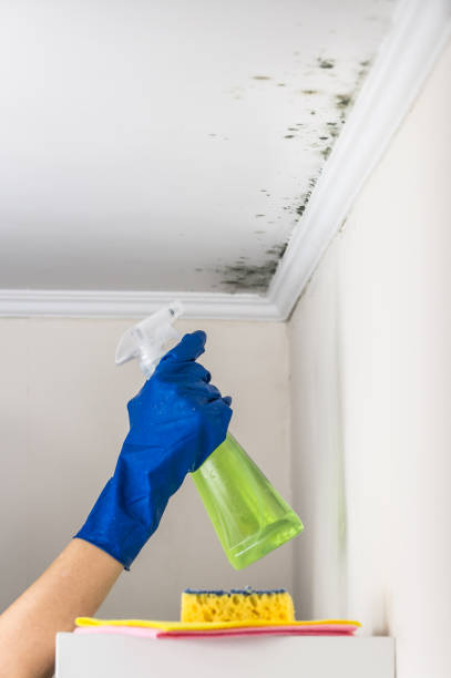 Best Mold Removal Process  in Sandy, OR